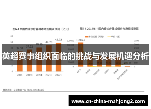 英超赛事组织面临的挑战与发展机遇分析