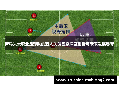 青岛失去职业足球队的五大关键因素深度剖析与未来发展思考