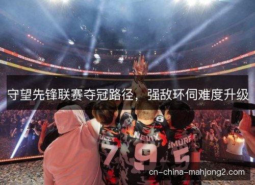 守望先锋联赛夺冠路径,强敌环伺难度升级 守望先锋联赛夺冠路径,强敌环伺难度升级